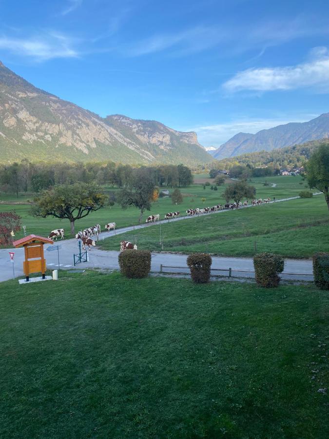 Le Nid Du Birdie, Giez, Proche Du Lac D'Annecy Lägenhet Exteriör bild